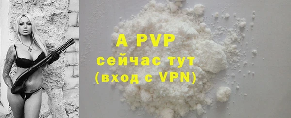 гидропоника Белокуриха