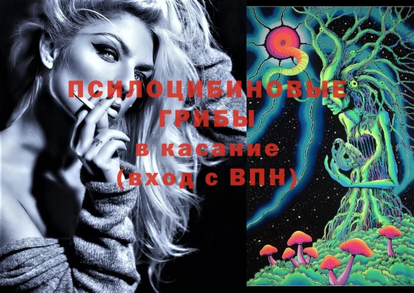 эйфоретик Богородицк