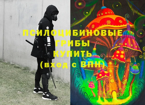 эйфоретик Сафоново