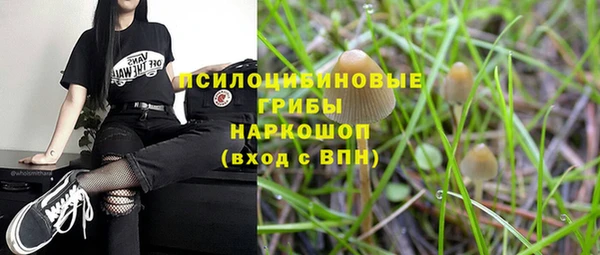 спиды Беломорск
