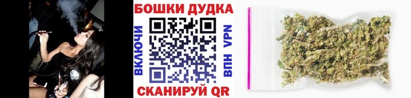 Бошки марихуана OG Kush  закладка  Клинцы 